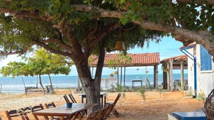 Rede &agrave; Mesa &ndash; Praia da Placa